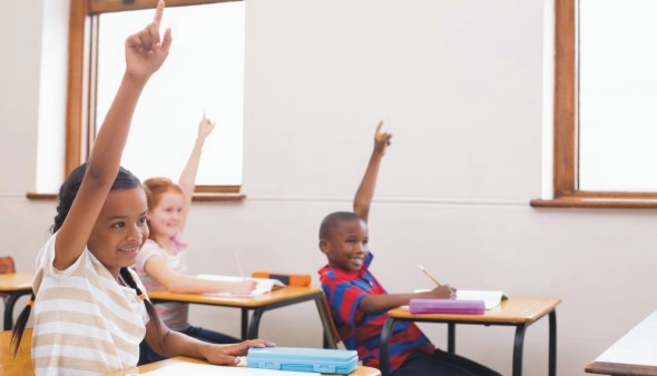 11 Plus Commonly Asked Questions